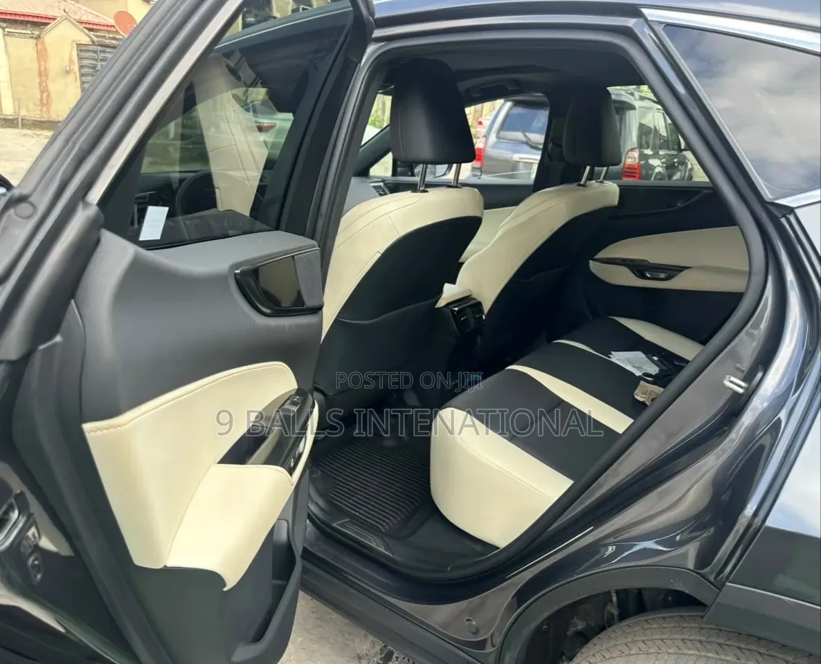 Lexus NX 2024 Gray