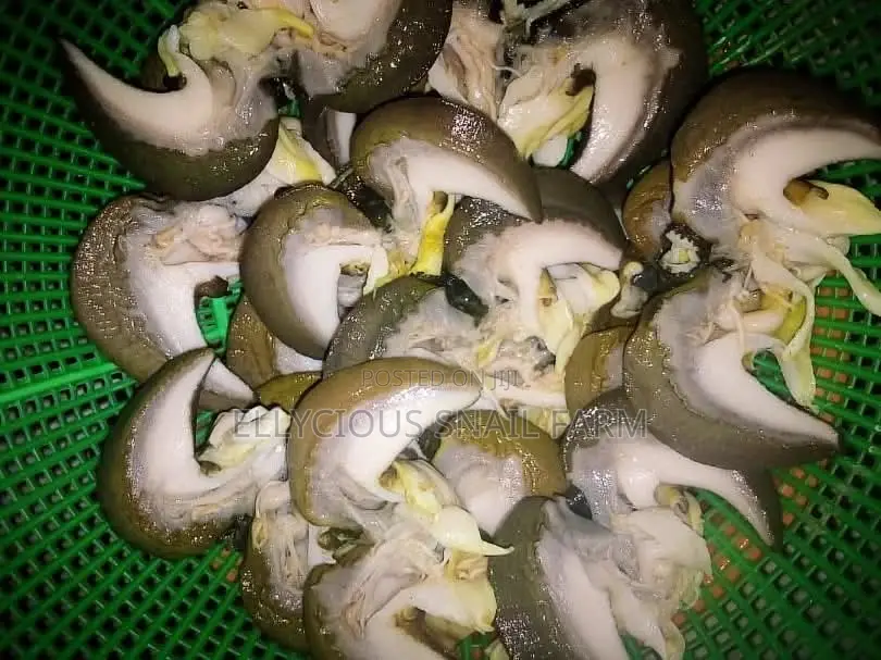 Cleaned Snails