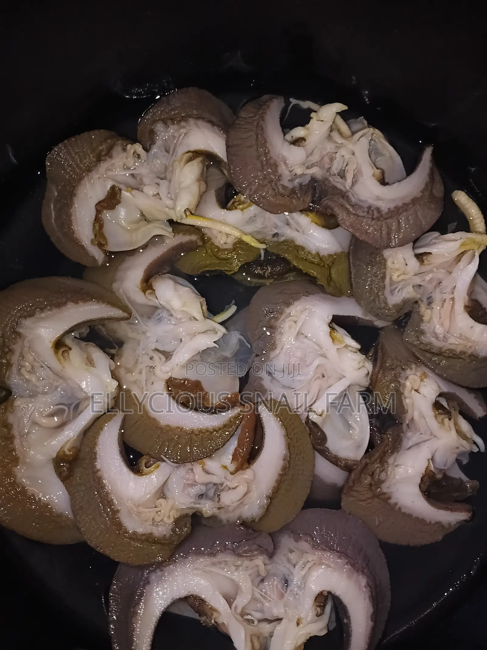 Cleaned Snails