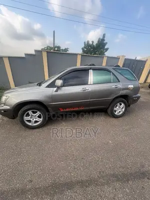 Lexus RX 2002 Gray