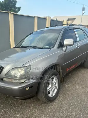 Lexus RX 2002 Gray