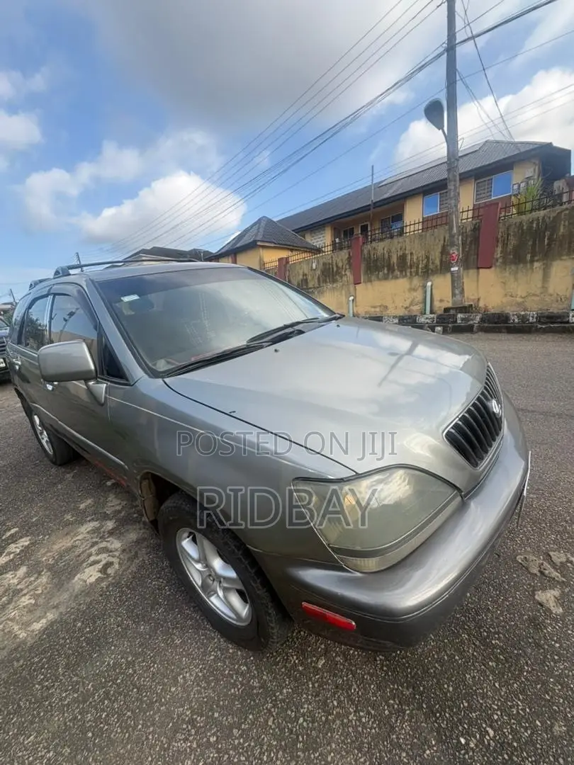 Lexus RX 2002 Gray