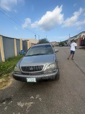 Lexus RX 2002 Gray