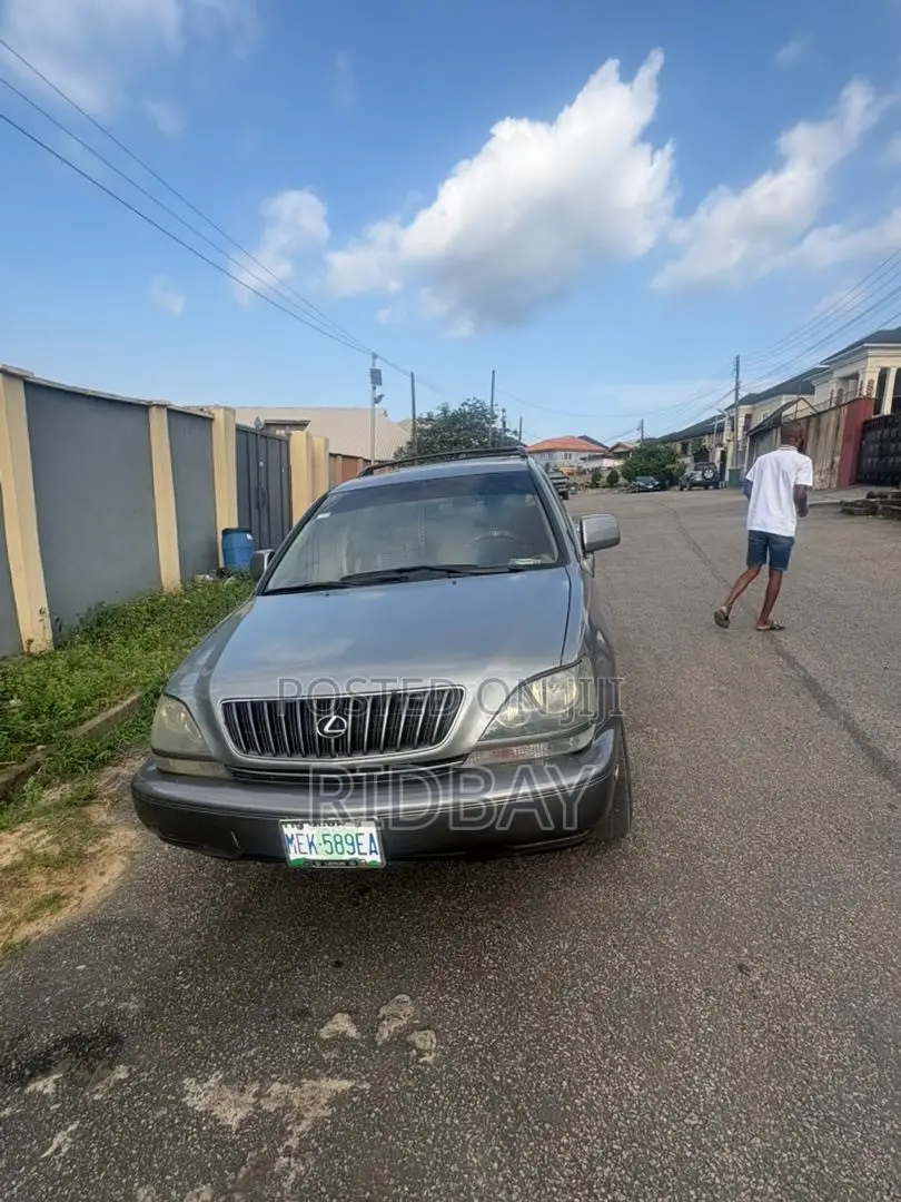 Lexus RX 2002 Gray