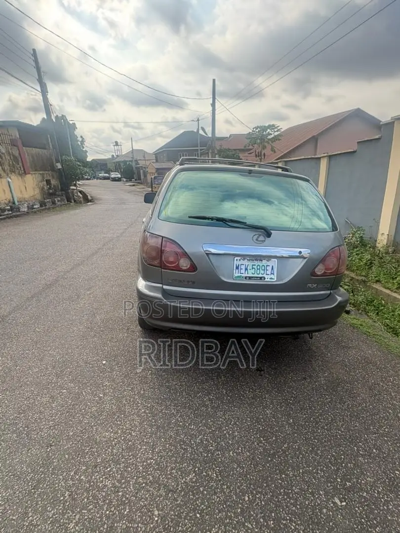 Lexus RX 2002 Gray