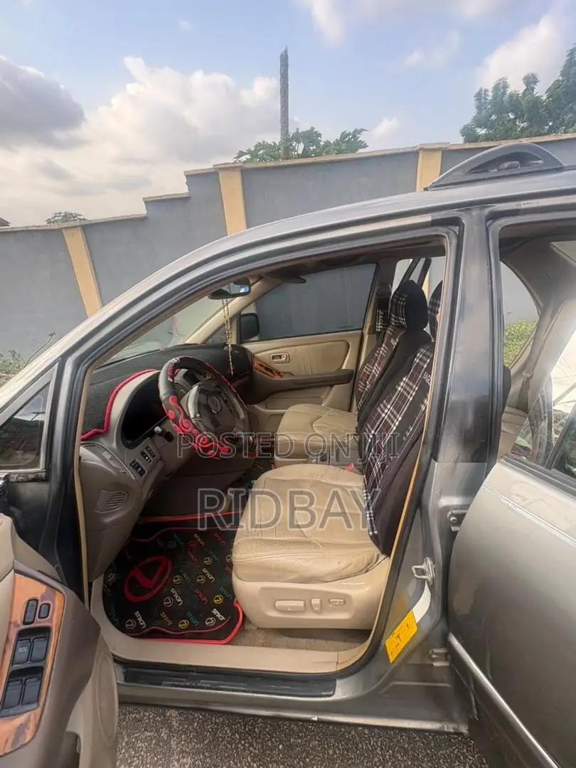 Lexus RX 2002 Gray