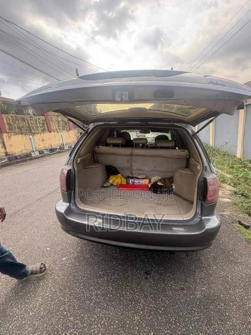 Lexus RX 2002 Gray