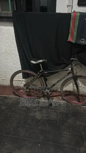 Bicycle Bicycle