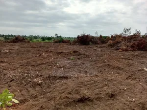 Land for Sale Imaka Tollgate Epe/Ijebu Ode Lagos