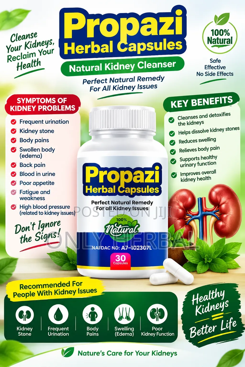 Kidney Cleanser