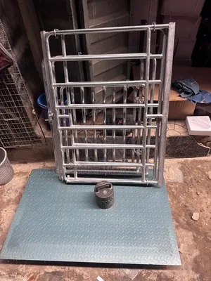 3ton Floor Scale With Cage