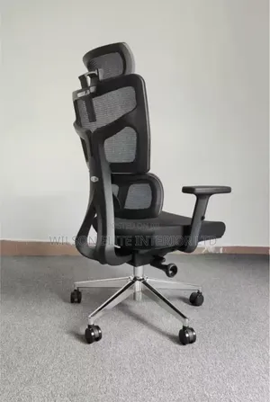 Quality Ergonomic Chair for Long Hours on Desk, No Back Pain