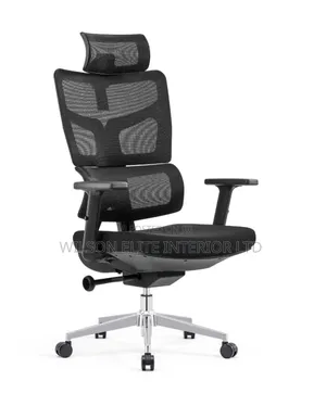 Quality Ergonomic Chair for Long Hours on Desk, No Back Pain