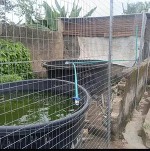 Fish Pond Tank