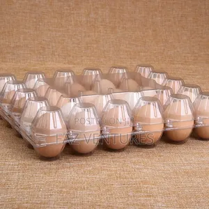 Transparent Egg Crates