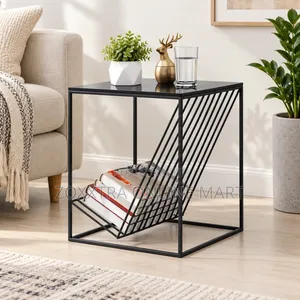 Modern Side Table With Magazine Book Rack