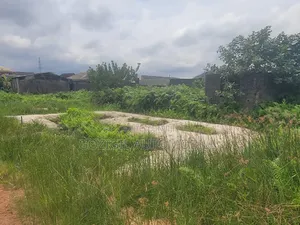 Not Up to Half Plot of Land for Sale