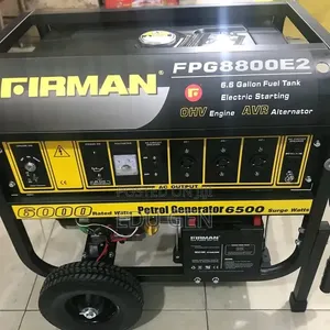 Original Firman Generator FPG8800E2 100%copper Coil