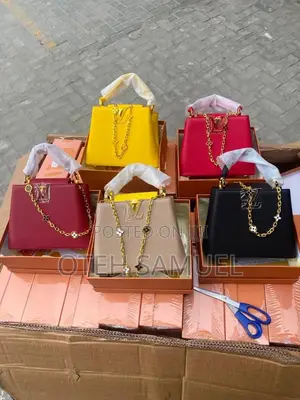 Luxury Black ,Pink,and Others Louis Vuitton Bag Fully Boxed