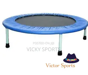 Mini Trampoline
