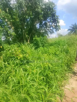 100 Ft by 100 Ft LAND FOR SALE