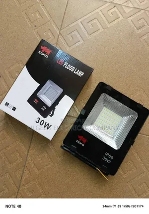 Ecko 30 Watts Flood Light (Electric)