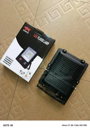 Ecko 30 Watts Flood Light (Electric)