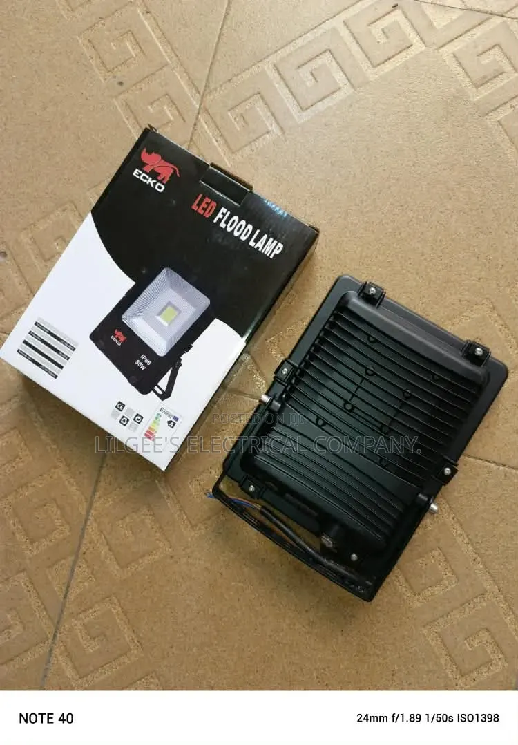 Ecko 30 Watts Flood Light (Electric)