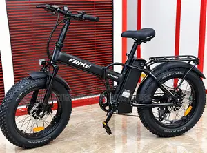 Frike Electric Bicycle