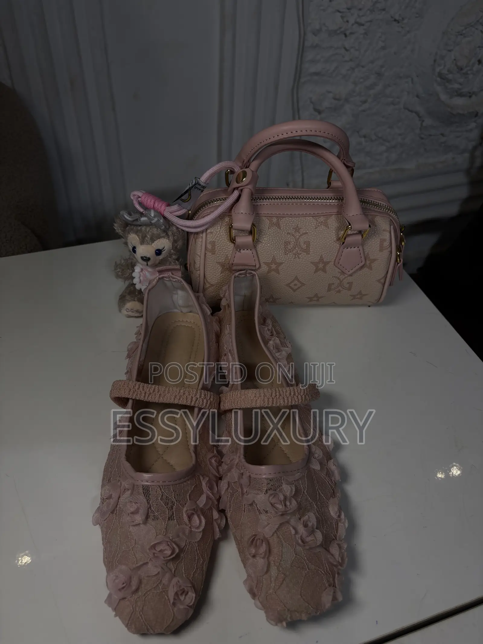Ladies Bag and Shoe