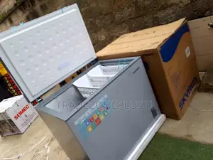 Skyrun BD-260A Business Storage Freezer