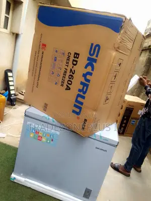 Skyrun BD-260A Reliable Food Freezer