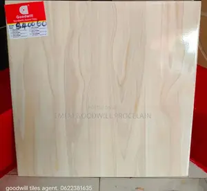60x60cm Goodwill Ceramics Tiles