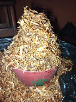 Oron Crayfish