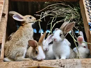 Weanners Rabbits
