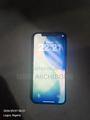 Apple iPhone 16 Pro 256 GB Gray