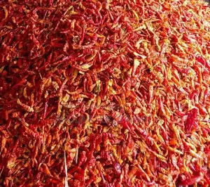 Hot Chilli Pepper