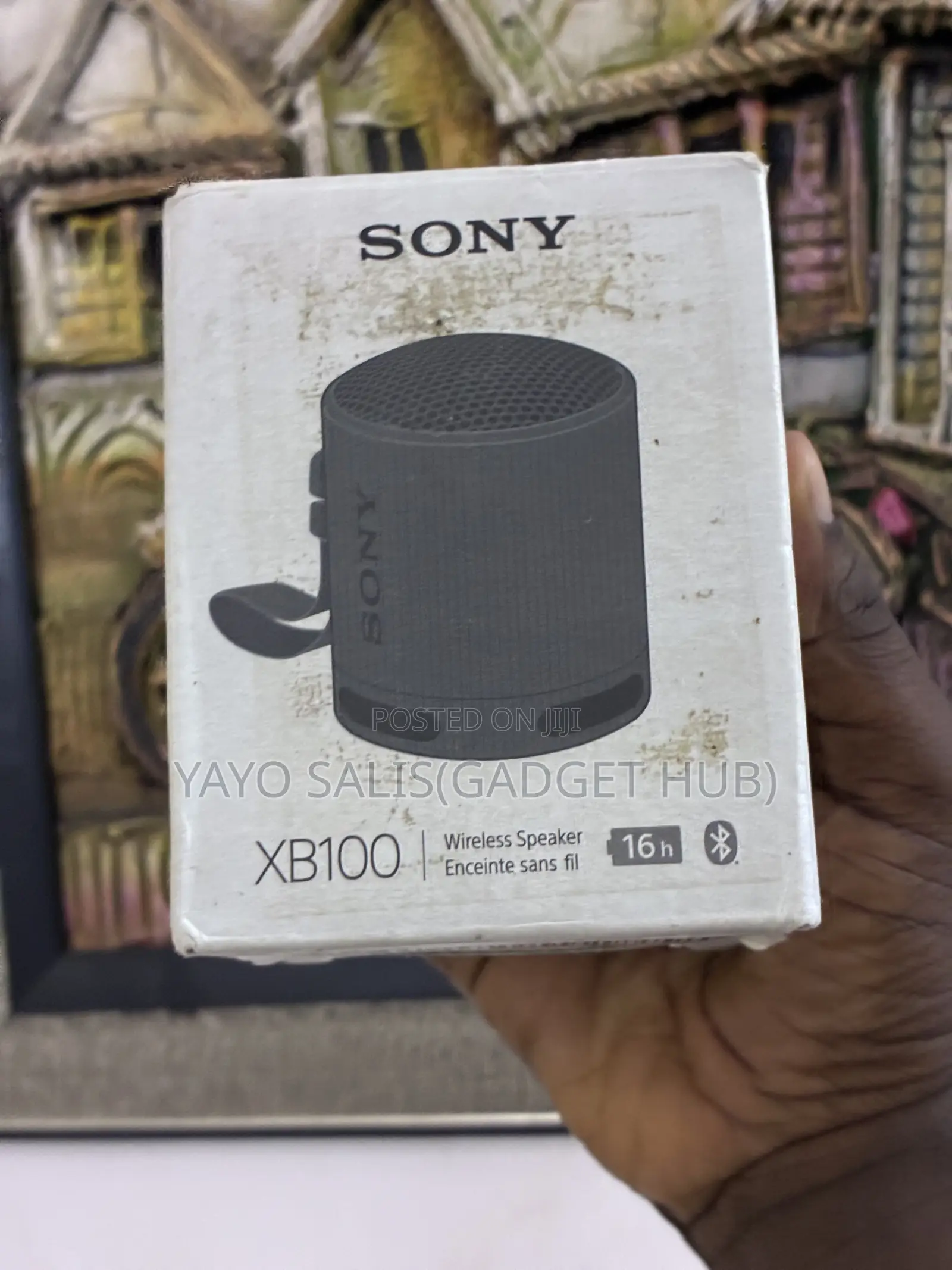 Sony Xb100