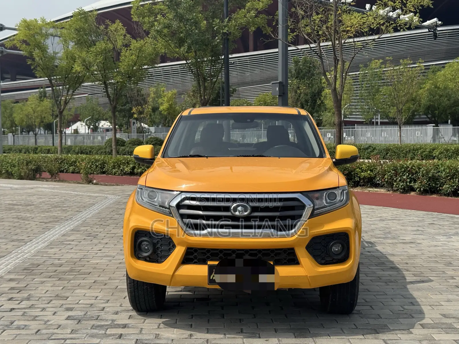 Great Wall Wingle 2019 Yellow
