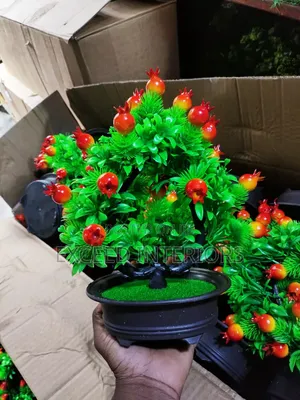 Quality Trend Flowers