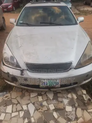 Lexus ES 330 Sedan 2004 Silver