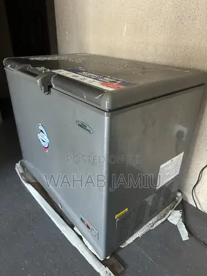 306L Hair Thermocool Inverter Chest Freezer
