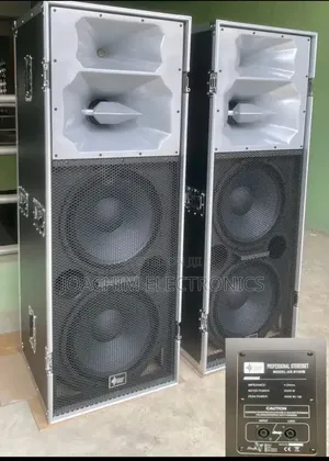 Ariz Sound Professional Big Double Speaker