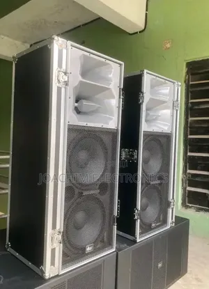 Ariz Sound Professional Big Double Speaker