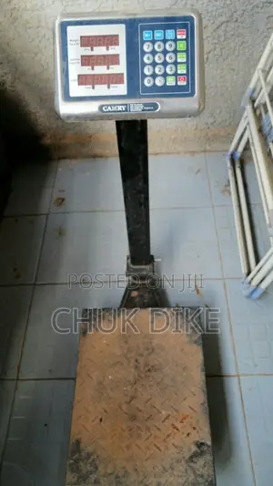 Camry Digital Scale