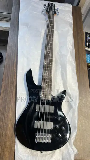 Classic Fender Passive Electric Bass Guitar