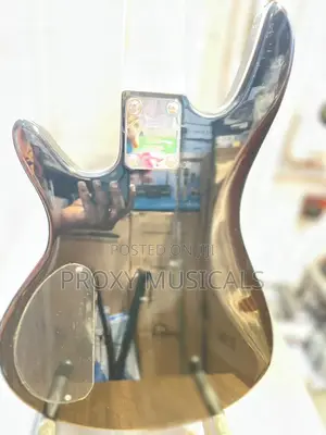 Fender Passive Electric Bass Guitar