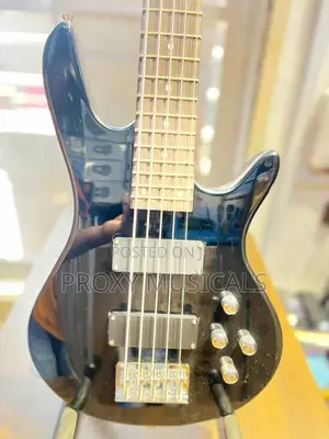 Fender Passive Electric Bass Guitar