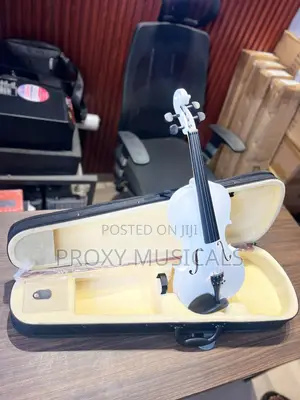 White Acoustic Violin