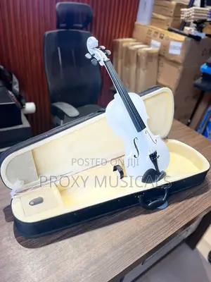 White Acoustic Violin